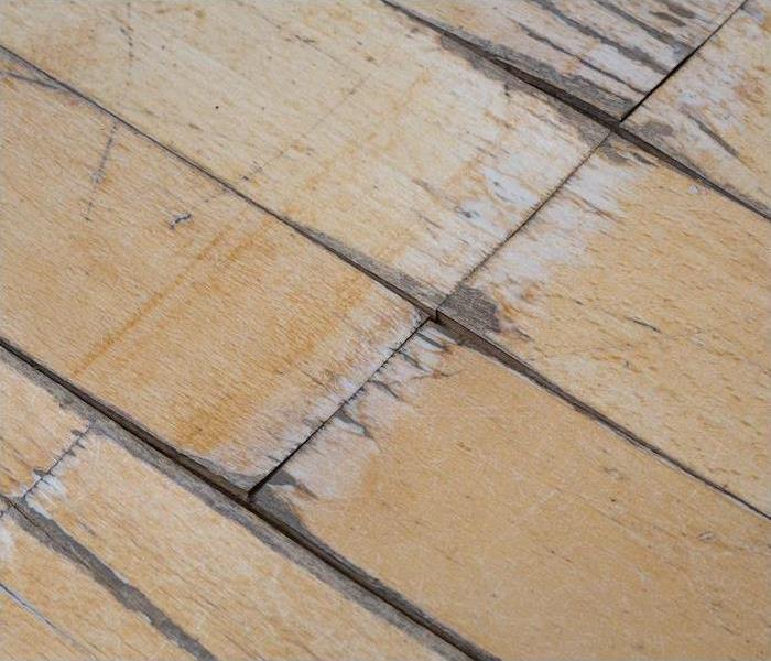 < img src =”floor.jpg” alt = "a zoomed in view of a wooden floor showing signs of water damage " >   